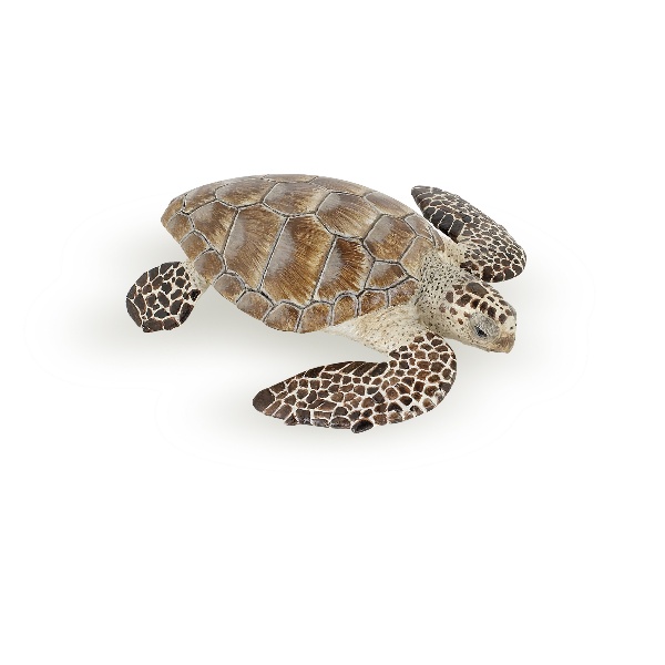 Papo Turtle Cacouanne
