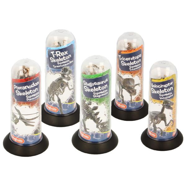 Magnoidz 3d Dinosaur Skeletons